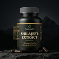 Shilajeet Extract Capsules – Energy, Strength & Vitality Booster